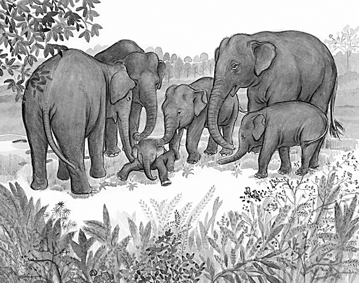 对“象群迁移”的深度追踪