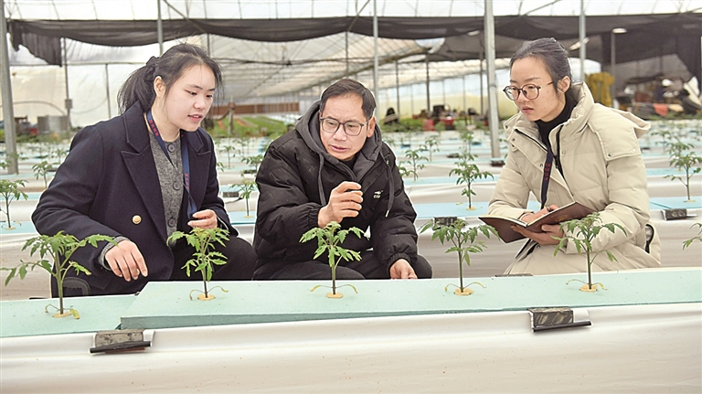 为推进中国式现代化凝聚磅礴力量