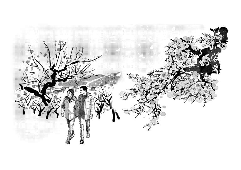 梅花老屋（小说）