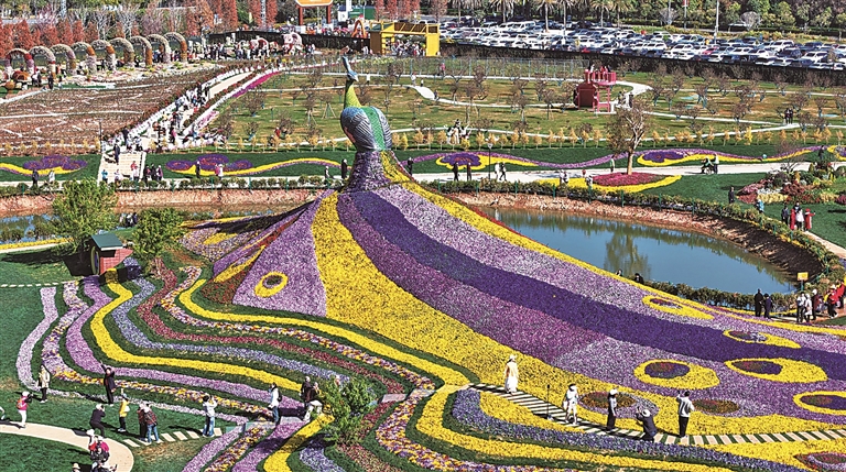 七彩花海开放迎新春