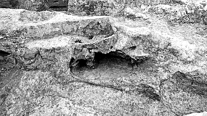 黄河中游仰韶早期的史前生业与聚落——以山西夏县师村遗址为例