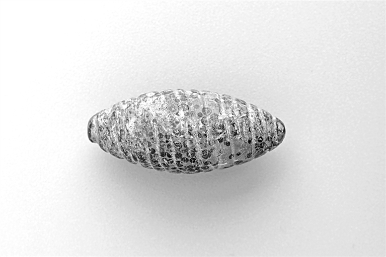 黄河中游仰韶早期的史前生业与聚落——以山西夏县师村遗址为例