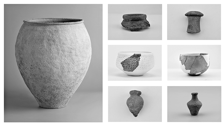 黄河中游仰韶早期的史前生业与聚落——以山西夏县师村遗址为例