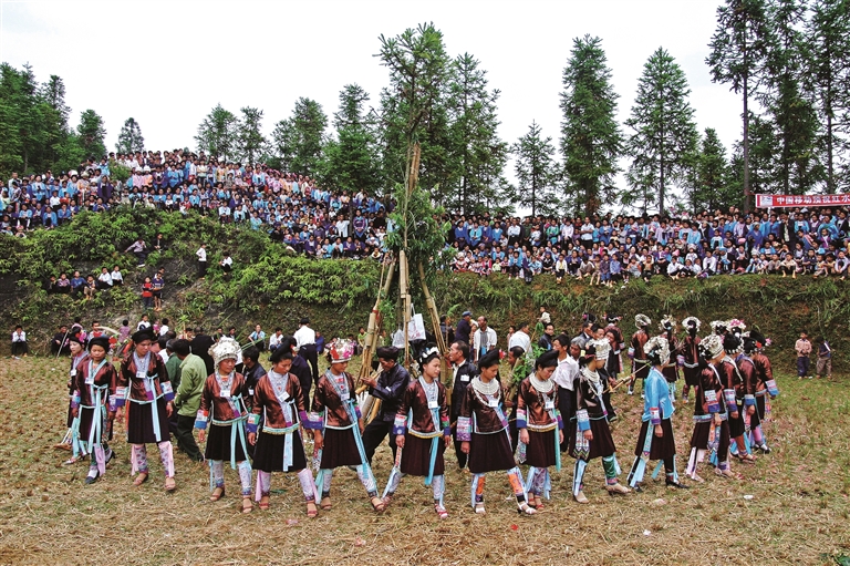 融水坡会祈丰年