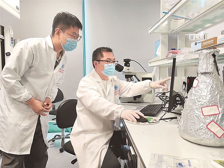 这个春节，我陪种子在海南