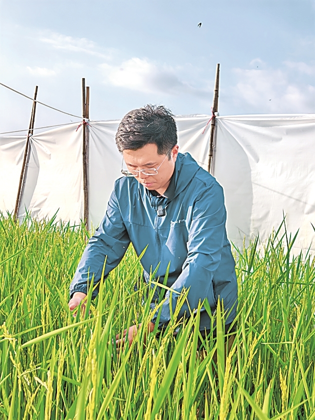 这个春节，我陪种子在海南