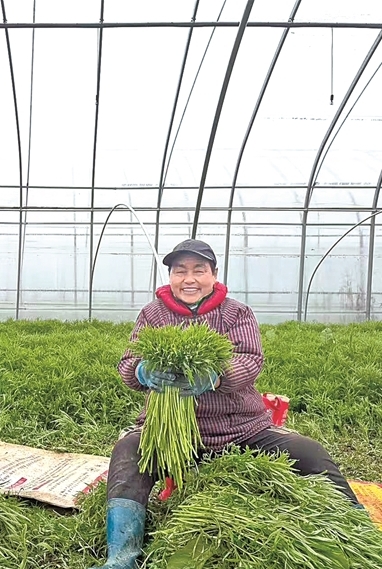 江苏省南京市栖霞区八卦洲街道外沙村：阿婆议事，议出发展金花花