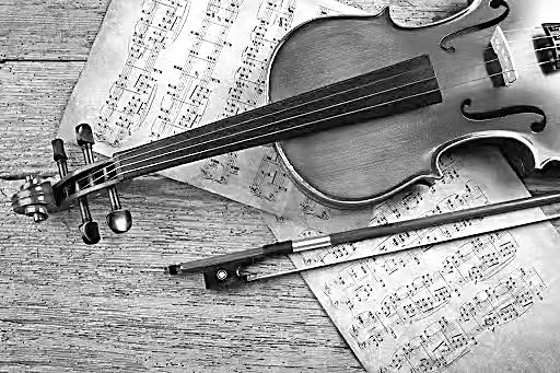 古典音乐“曲高和者众”