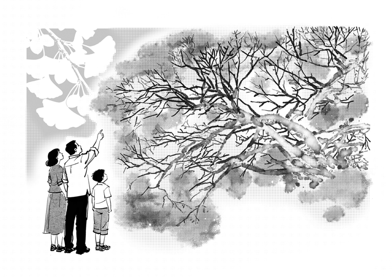 光明文化周末：故乡是两棵树