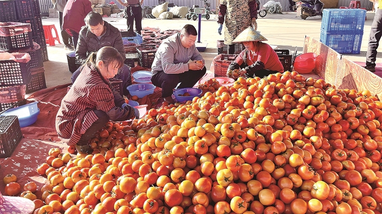 贡江清波漾 田园入画来