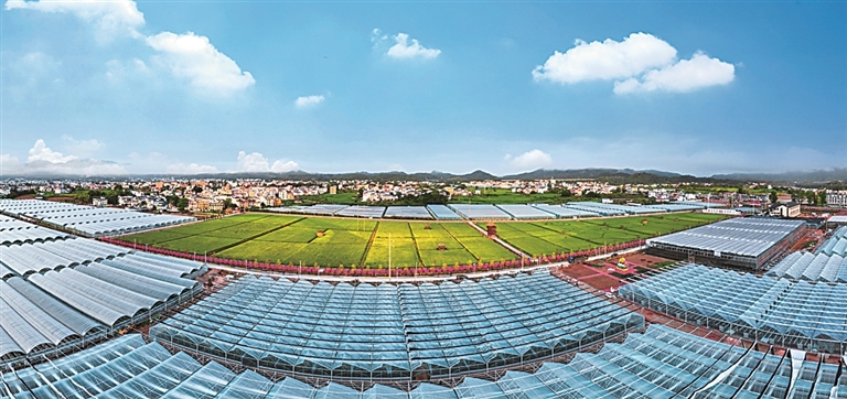 贡江清波漾 田园入画来