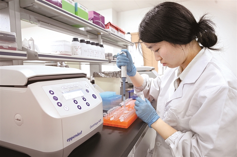 推进拔尖创新人才自主培养