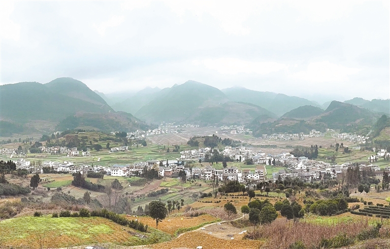 【新春走基层·走进贵州】楠木村：科技撑起千亩梨园