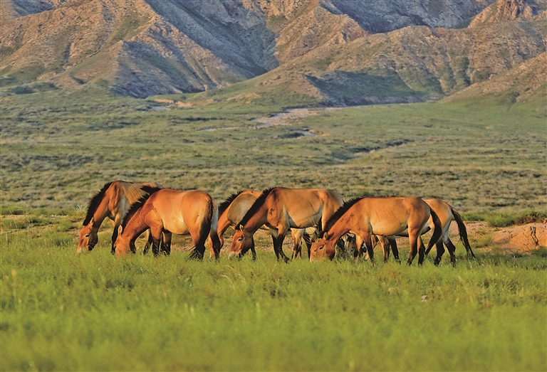 【美丽中国大写意】走进春天,触摸这跃动的生命图景 【美丽中国大写意】走进春天,触摸这跃动的生命图景