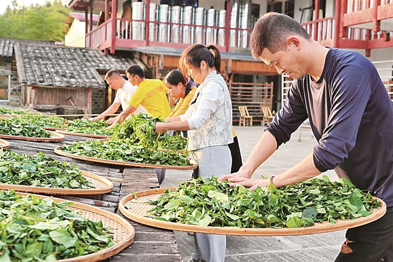 【美丽中国大写意】走进春天,触摸这跃动的生命图景 【美丽中国大写意】走进春天,触摸这跃动的生命图景