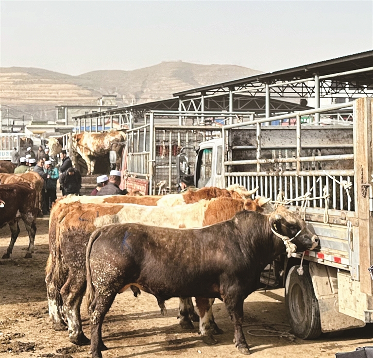 【新春走基层·走进西海固】单南村:民族团结情谊长 【新春走基层·走进西海固】单南村:民族团结情谊长