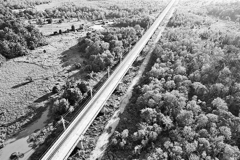 马来西亚：季风交汇处的现代化新图景