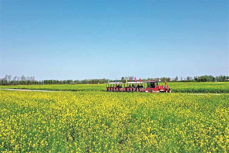 河南省信阳市平桥区明港镇新集村:文旅赋能开出“致富花” 河南省信阳市平桥区明港镇新集村:文旅赋能开出“致富花”