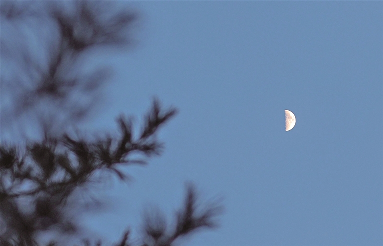年度最大上弦月现身天宇