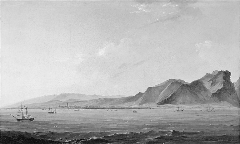 以好奇心叩问生命本源——谈《物种之眼：达尔文传》的创作过程