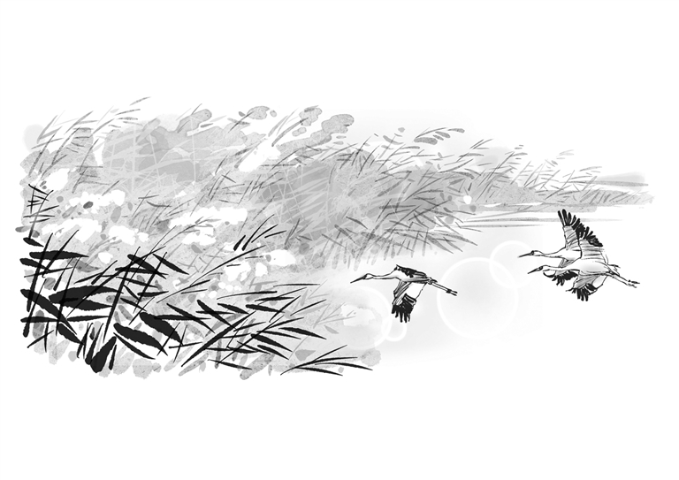 故土的味道（组章）