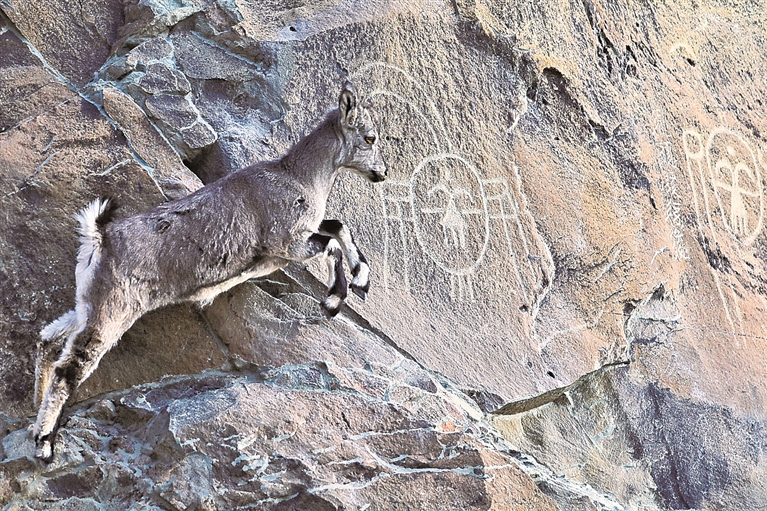 万年“画廊”遇见数字流光