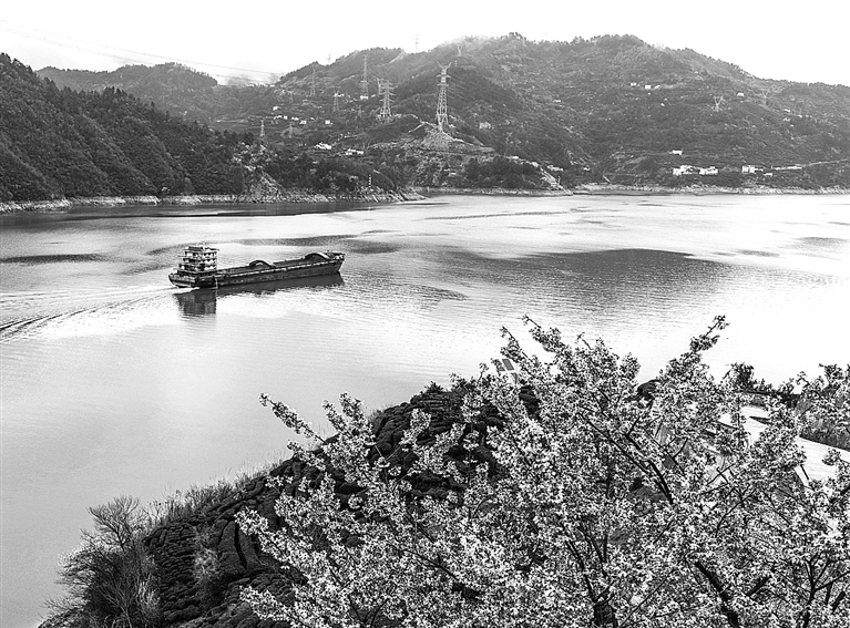 雨润三峡春花开