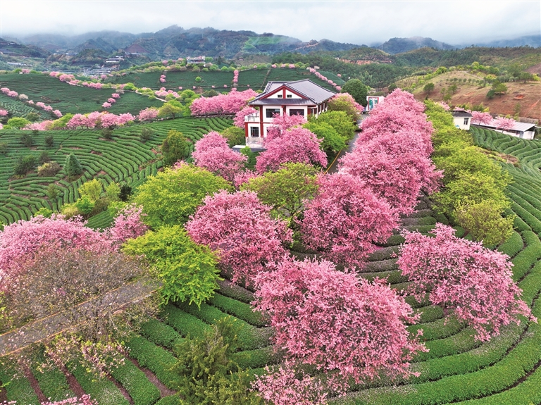 【大美中国】春日美