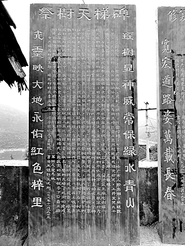 “栽岩立法”:清水江文书中的生态意识与生态治理 “栽岩立法”:清水江文书中的生态意识与生态治理