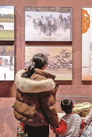 以文化滋养精神家园 以文化滋养精神家园