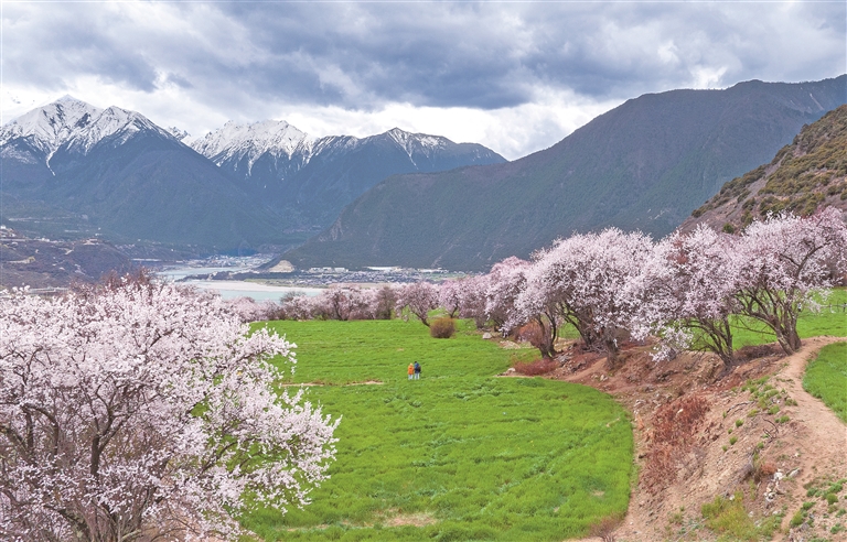 “十五五”，我们这样干——代表委员畅谈以实干铸就新辉煌