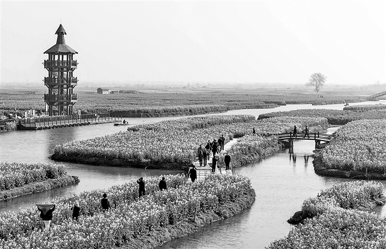 春光明媚赏花时