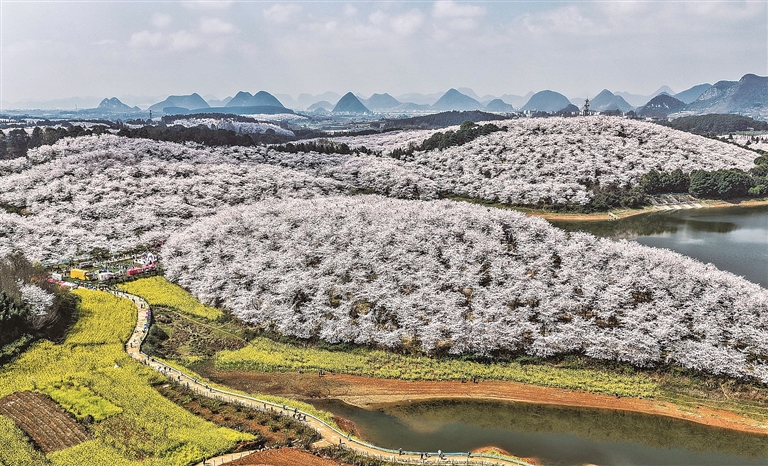 【大美中国】春满大地