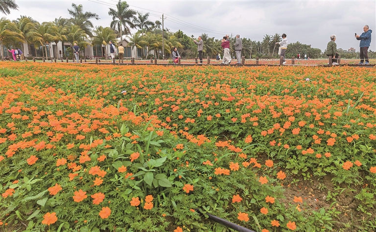旅居，从“猫冬”到乐享安居