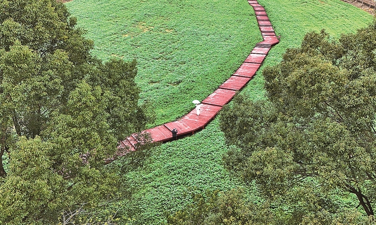 旅居，从“猫冬”到乐享安居