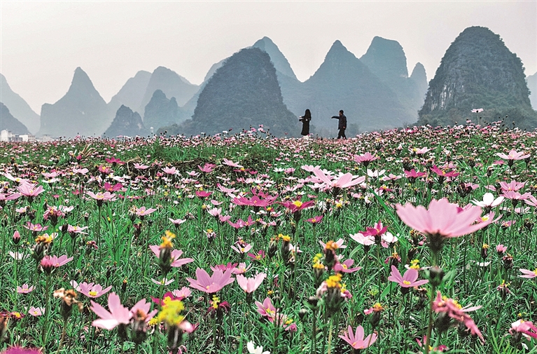 旅居，从“猫冬”到乐享安居
