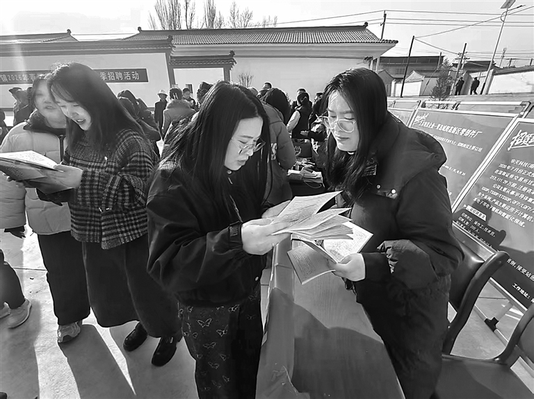 春风送岗促就业