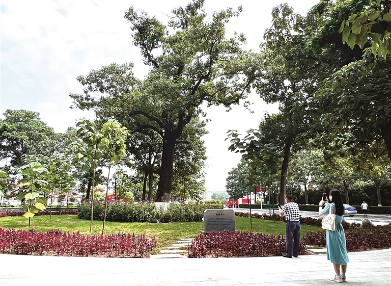 为人民出政绩 以实干出政绩