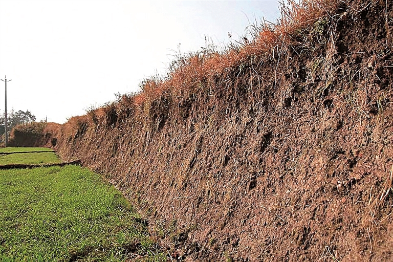 笔墨为碑 足迹为证：司马迁与南丝路