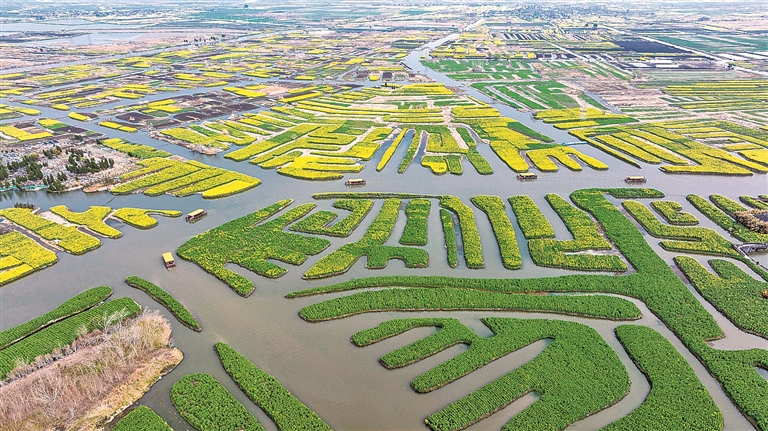 【大美中国】春满山河