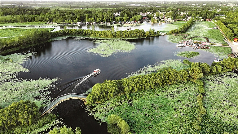 习近平法治思想的创新发展