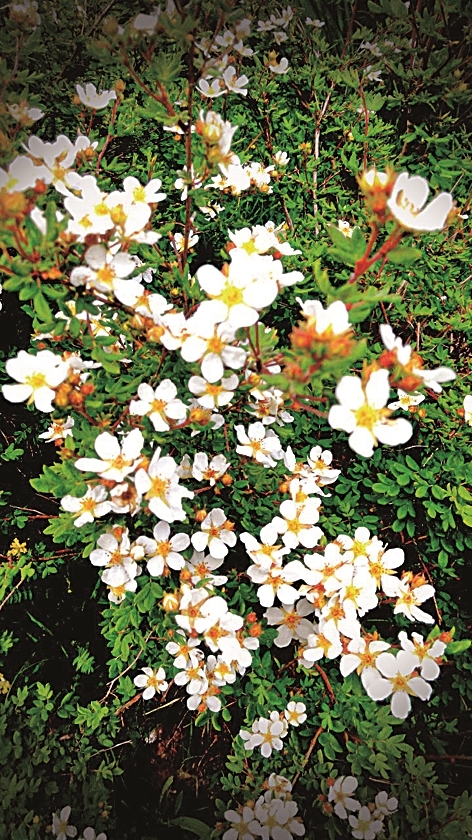 张掖世界地质公园：丹霞四季 诗画人间