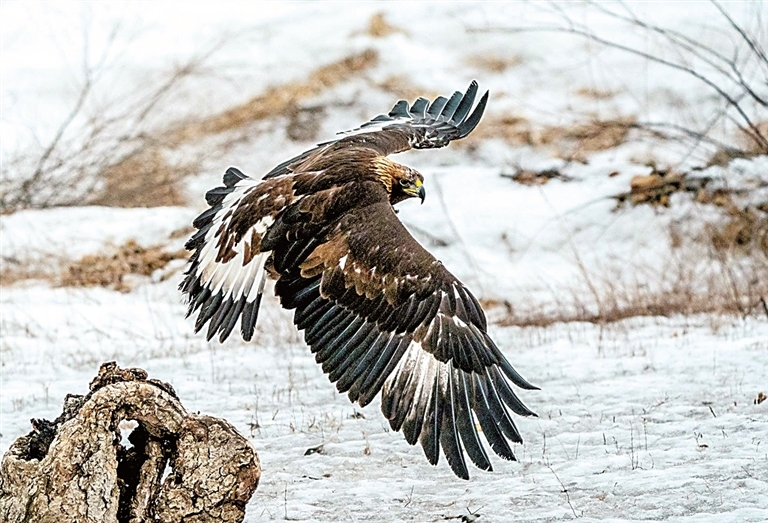 张掖世界地质公园：丹霞四季 诗画人间