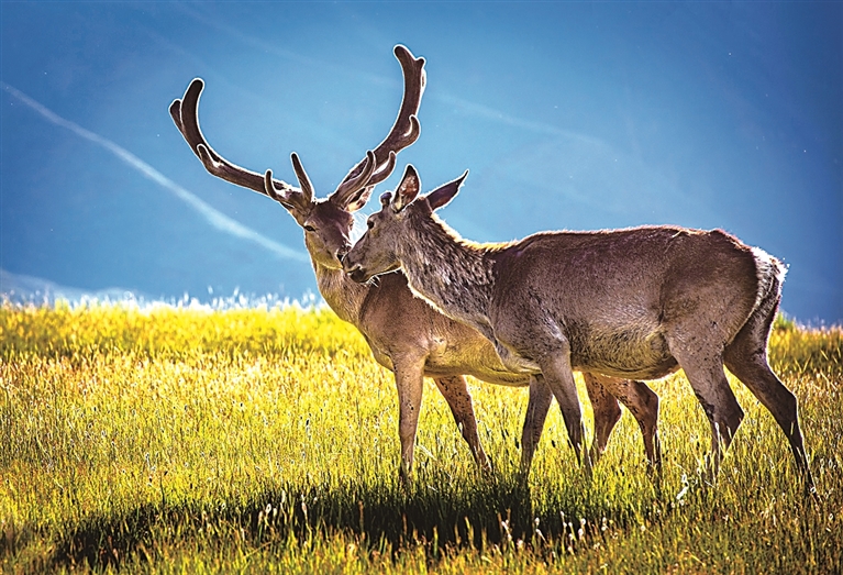 张掖世界地质公园：丹霞四季 诗画人间