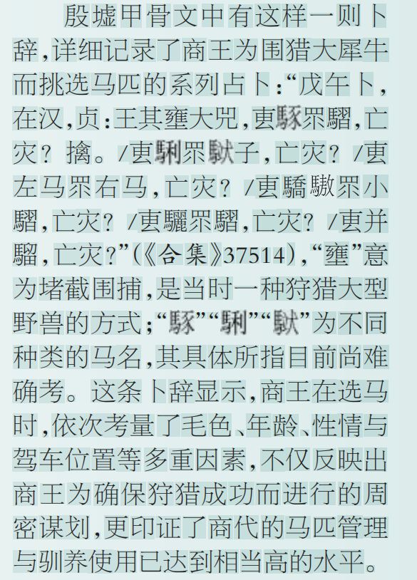 “因物取象 以用定名”——甲骨文中马的种类与命名