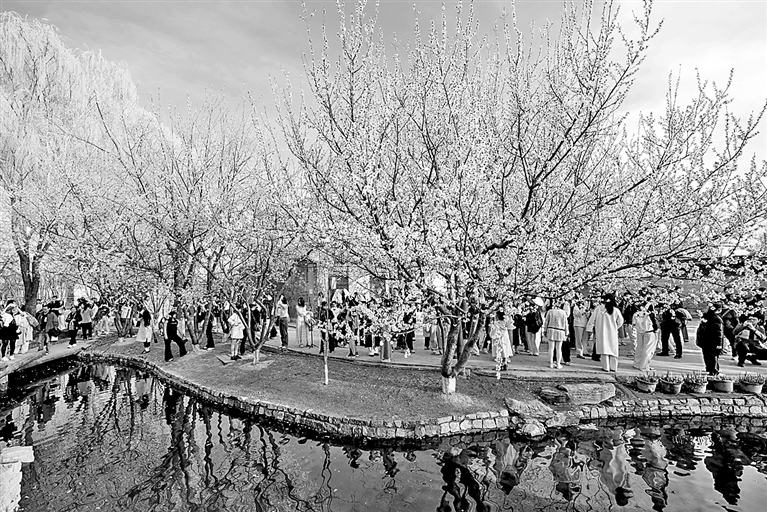 亲近自然 拥抱春天