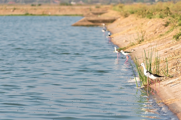 探访内罗毕之“肾”