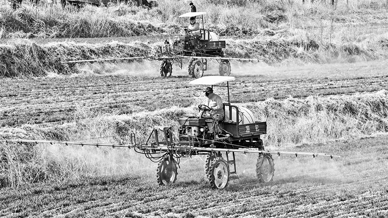 不负春光耕作忙