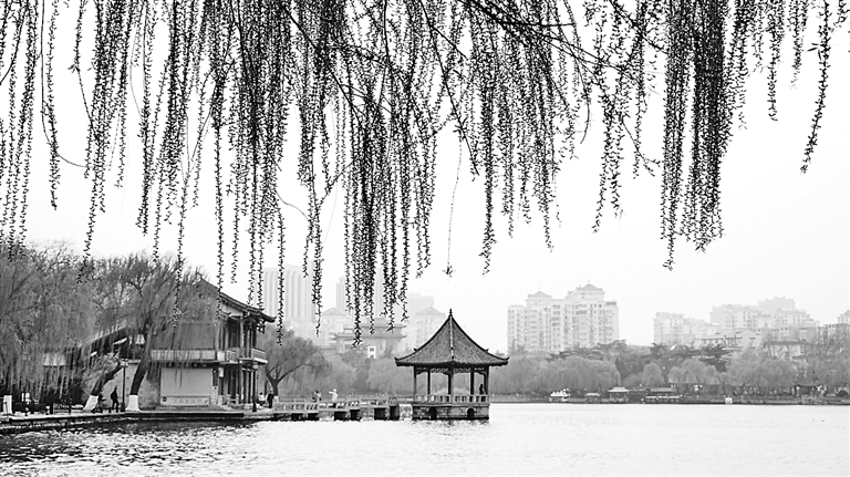 大明湖畔柳色新