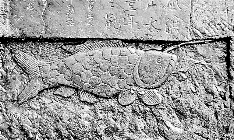 中埃联合申遗 千年水位刻度中的古代智慧 中埃联合申遗 千年水位刻度中的古代智慧